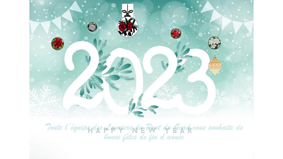 BONNES FÊTES DE FIN D'ANNÉE
